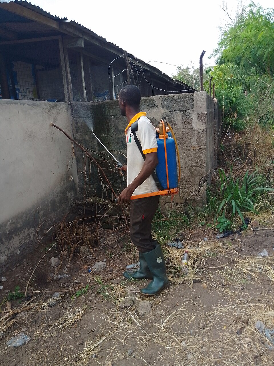 Knapsack Sprayer (16L) 2