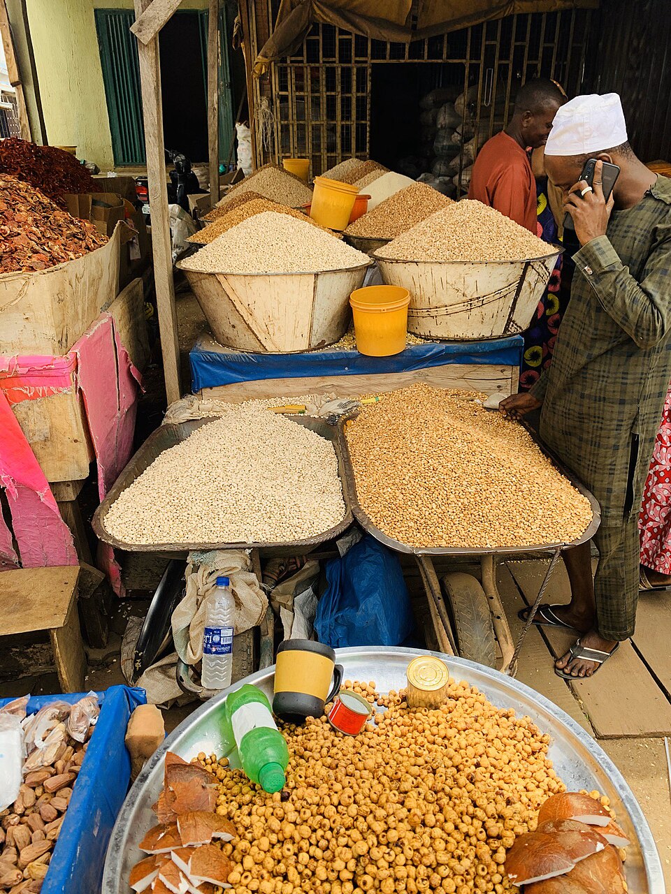 Dried Maize Grain 2