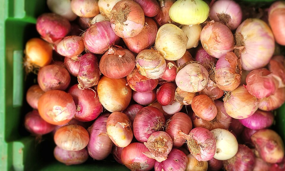 Red Onions