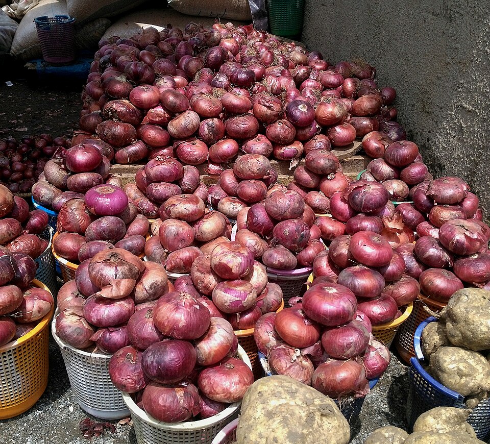 Red Onions 2