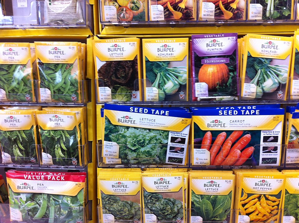 Assorted Vegetable Seed Packets