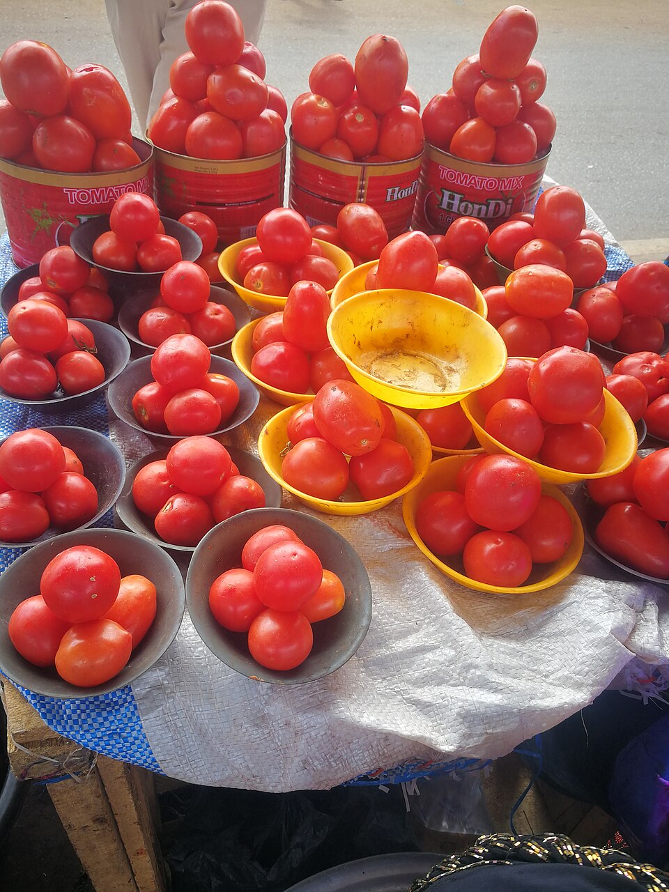 Fresh Tomatoes